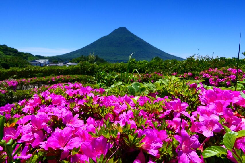 瀬平公園付近から薩摩富士開聞岳を撮る１