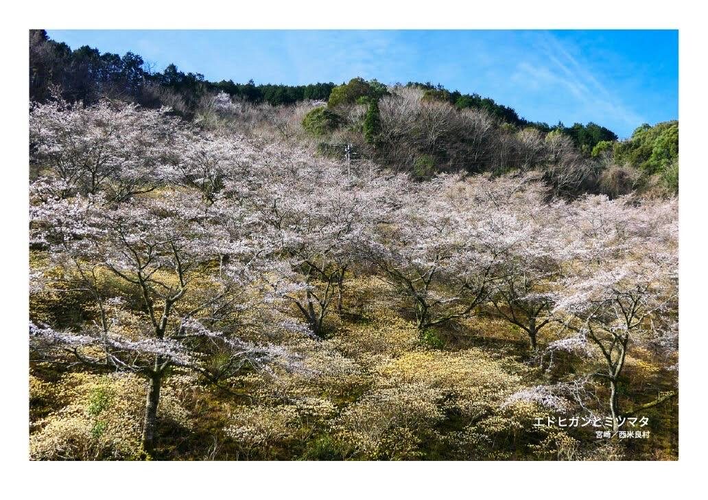 月刊　山學舎　【３月号】-4