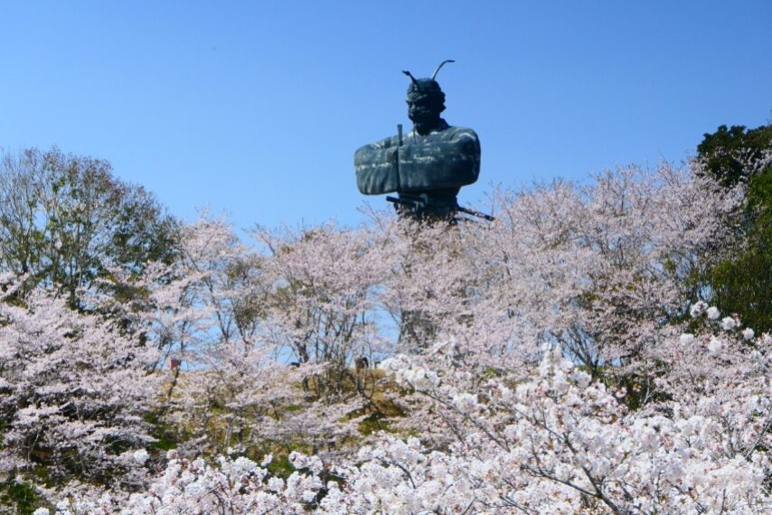 弥五郎伝説の里のソメイヨシノ-1