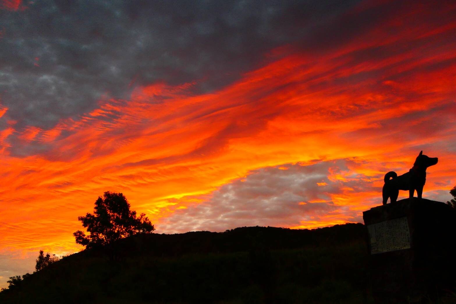 長者原からの朝焼け (ガイド犬 平治号の碑)