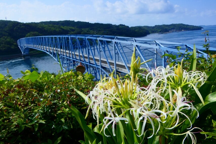 ハマユウと黒之瀬戸大橋