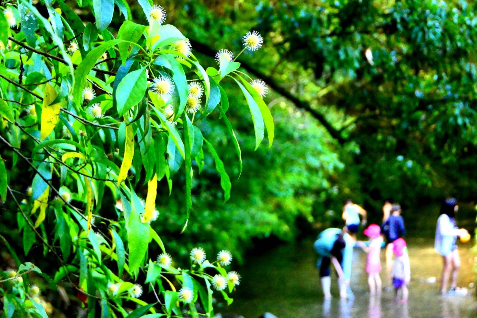子どもたちは沢遊び-1