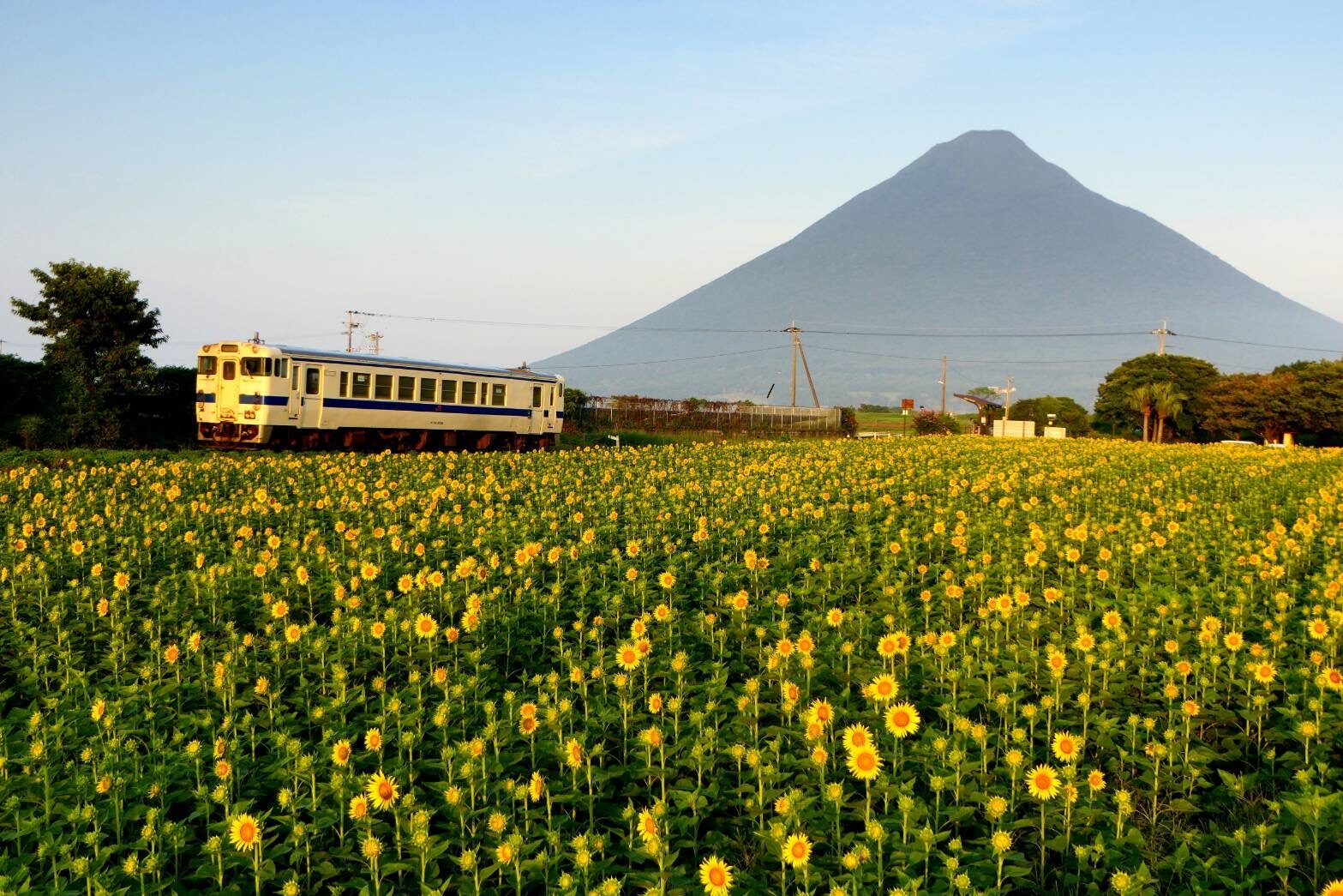 JR最南端の駅 西大山駅-1