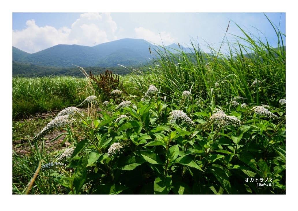 月刊　山學舎　【８月号】-3