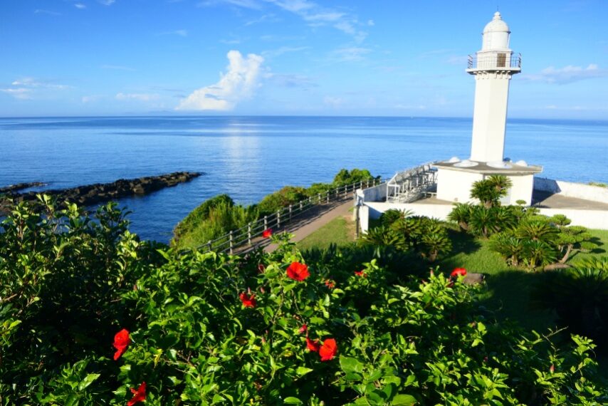 長崎鼻のハイビスカス-1