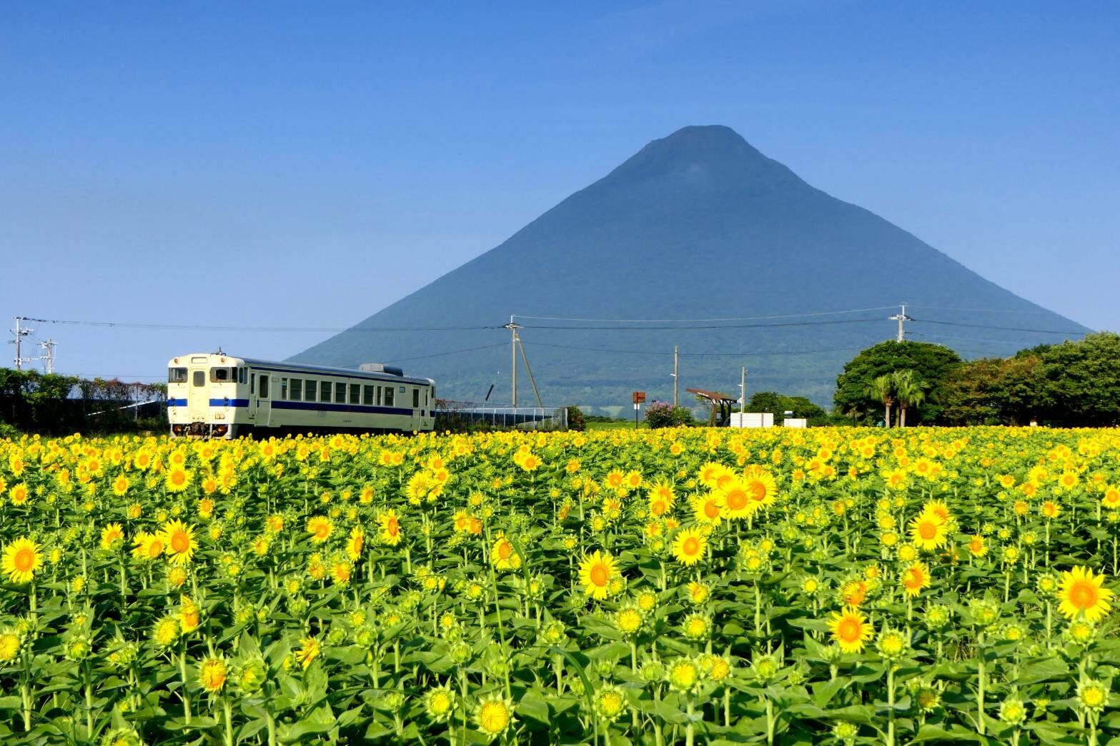 JR最南端の駅 西大山駅-2