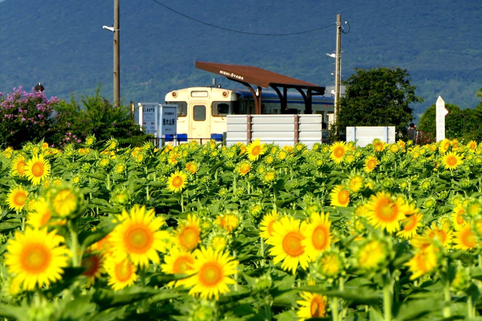 JR最南端の駅 西大山駅-7