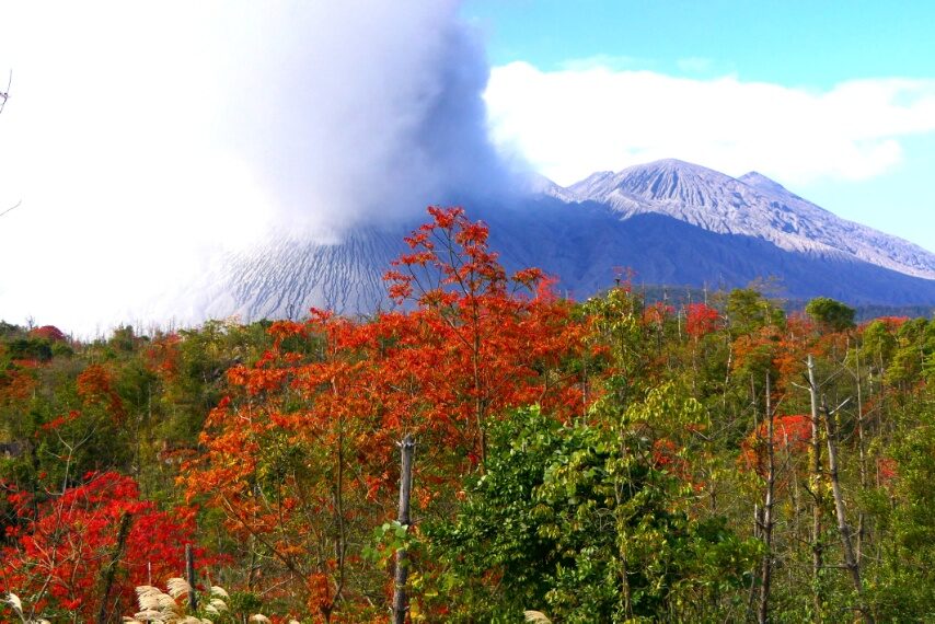 桜島-1