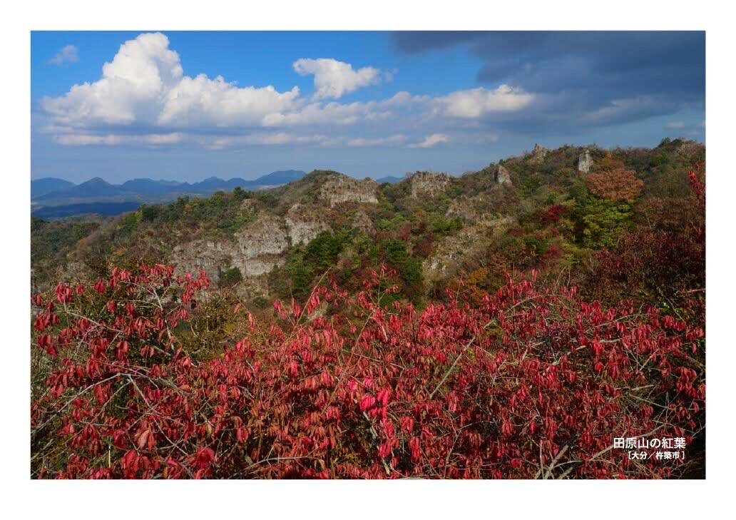 月刊　山學舎　【１１月号】-3