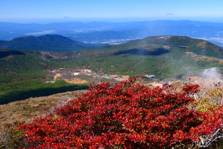韓国岳の名残りの紅葉 　大浪池
