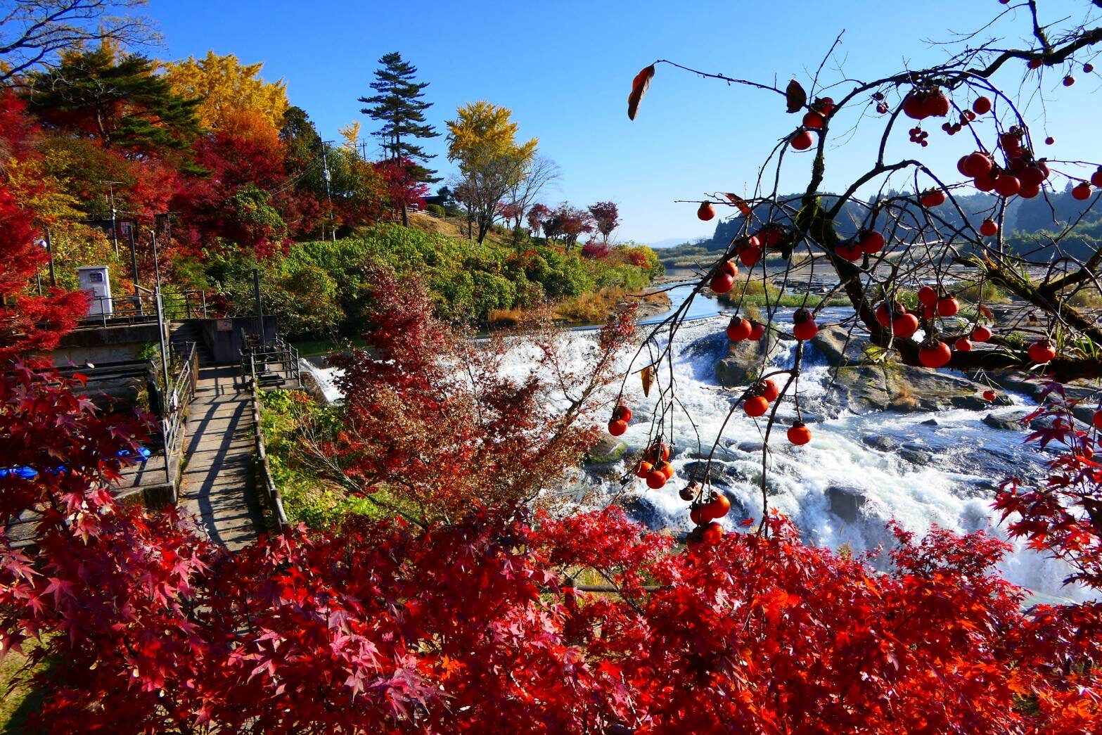 東洋のナイアガラ 曽木の滝の、早朝の絶景-5
