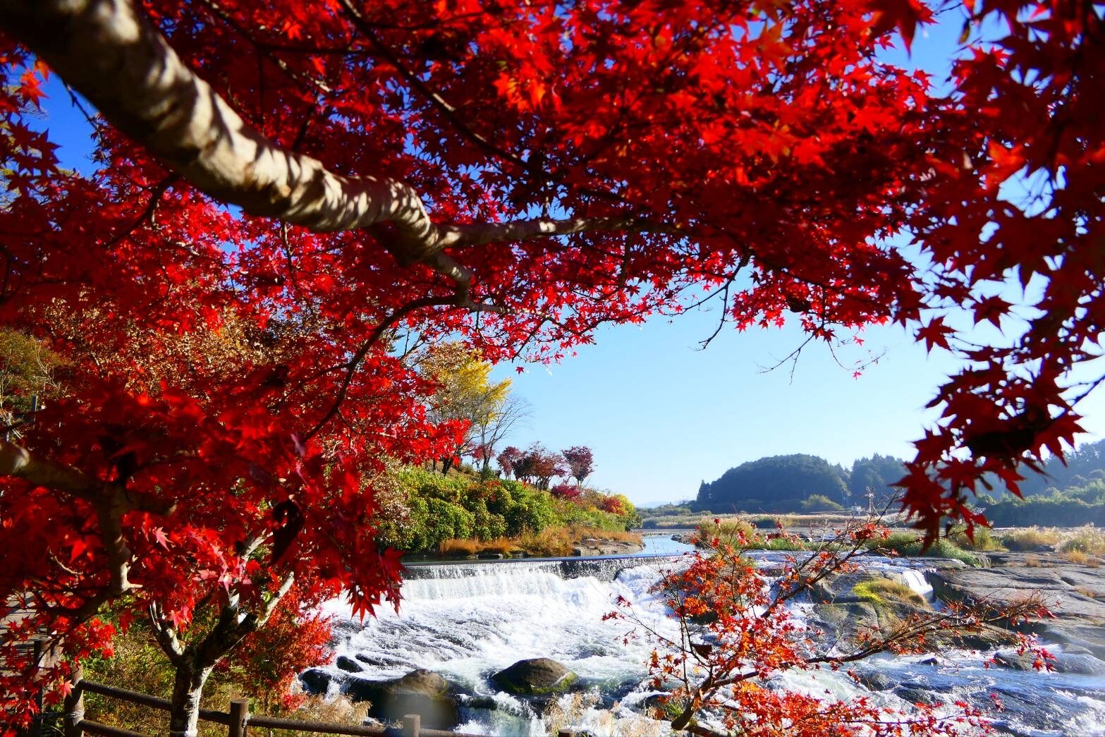 東洋のナイアガラ 曽木の滝の、早朝の絶景-6