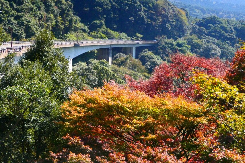 丸尾周辺の紅葉