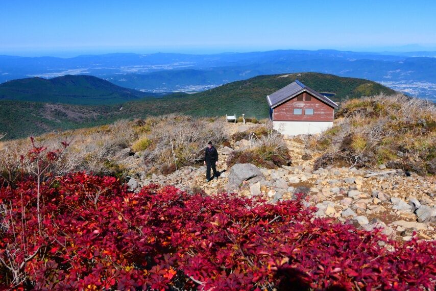韓国岳の名残りの紅葉