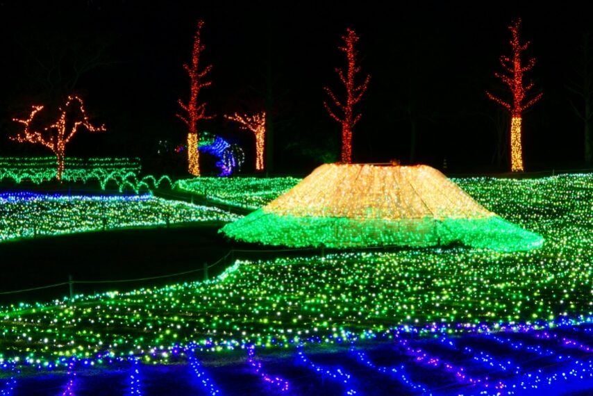 フラワーパークかごしまのイルミネーション-2