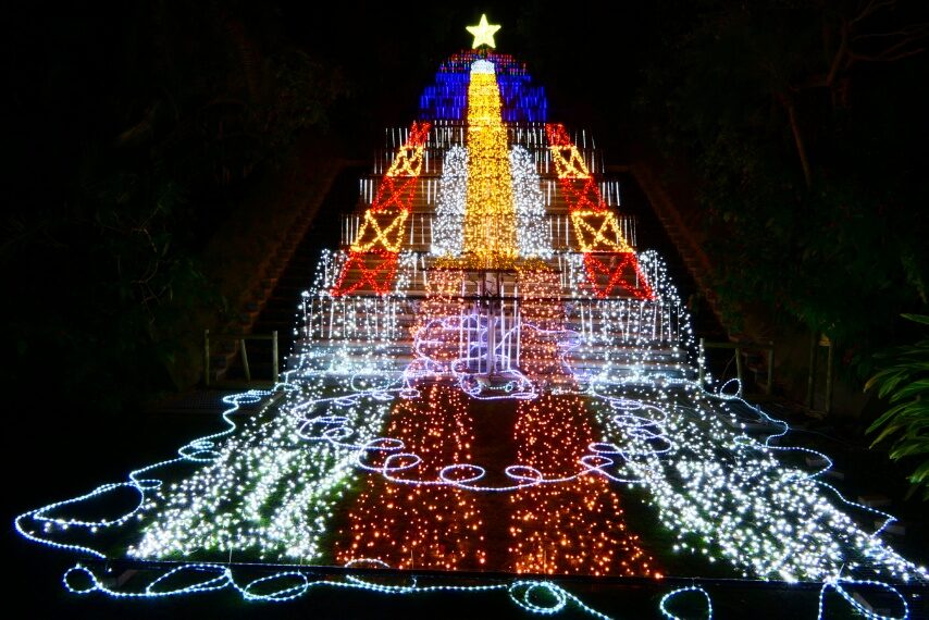 フラワーパークかごしまのイルミネーション-3