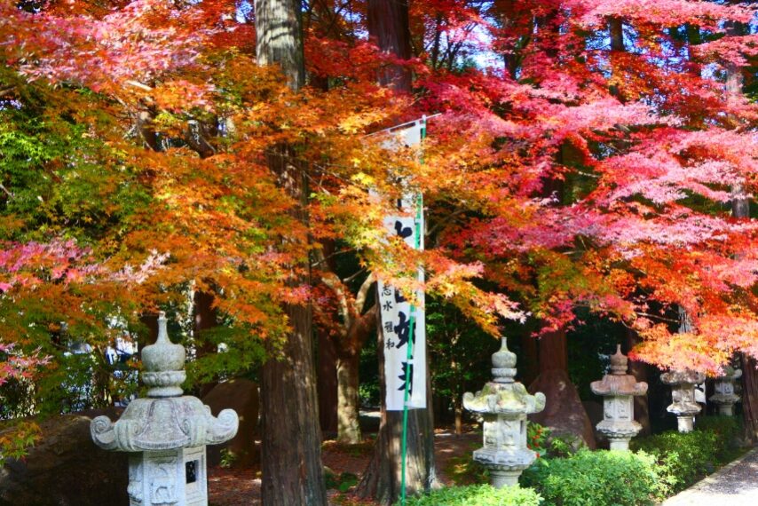 不動山青隆寺の紅葉-5