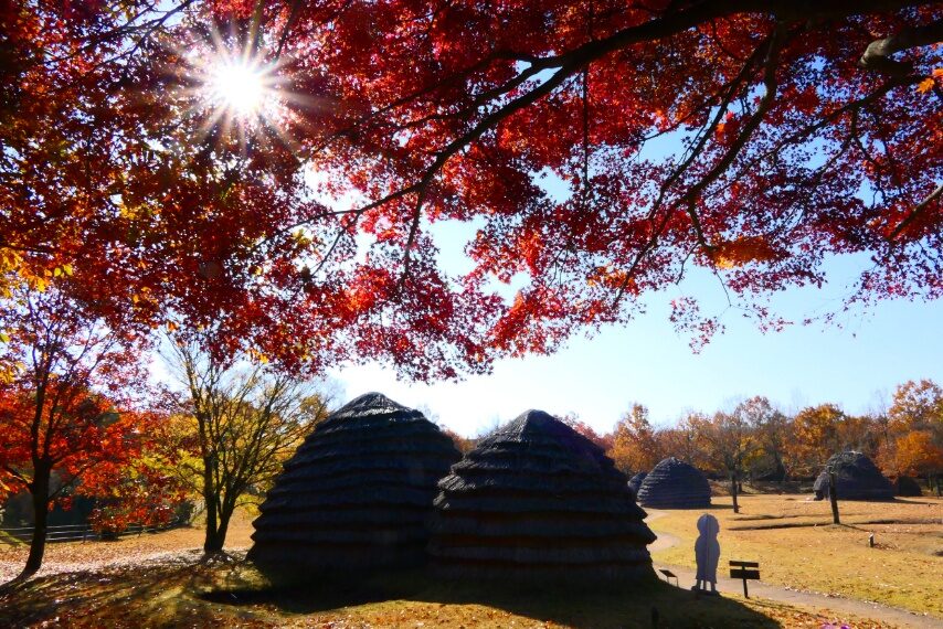 上野原縄文の森-2