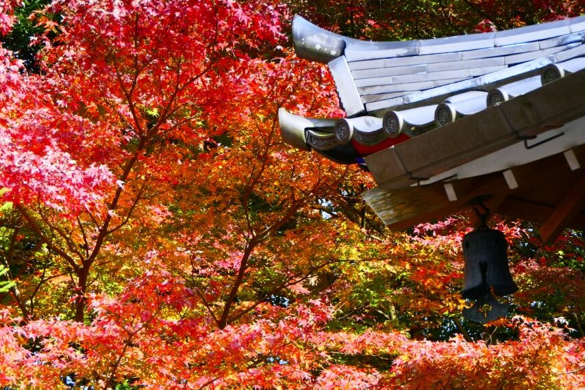 不動山青隆寺の紅葉-4