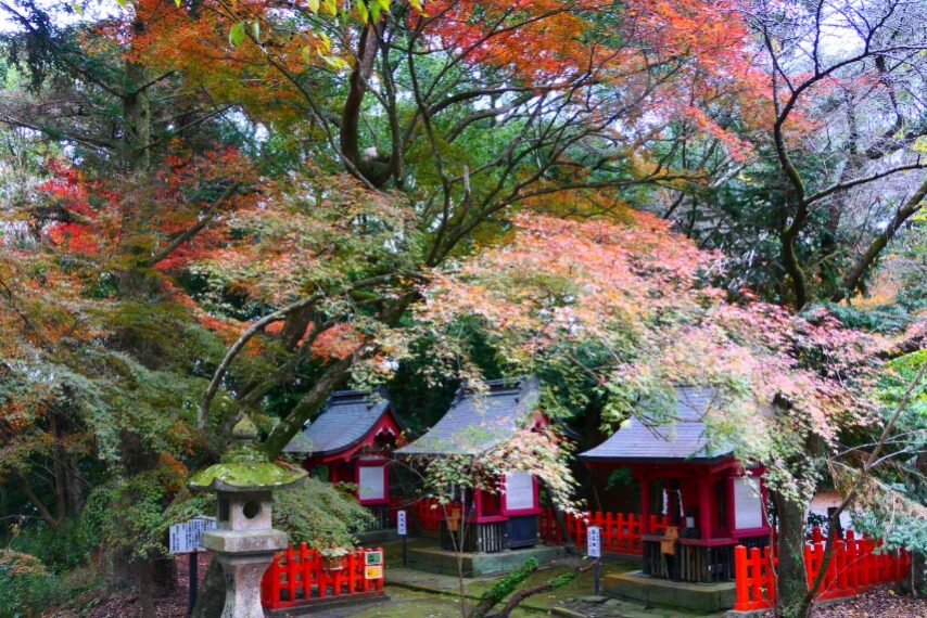 新田神社の紅葉-1