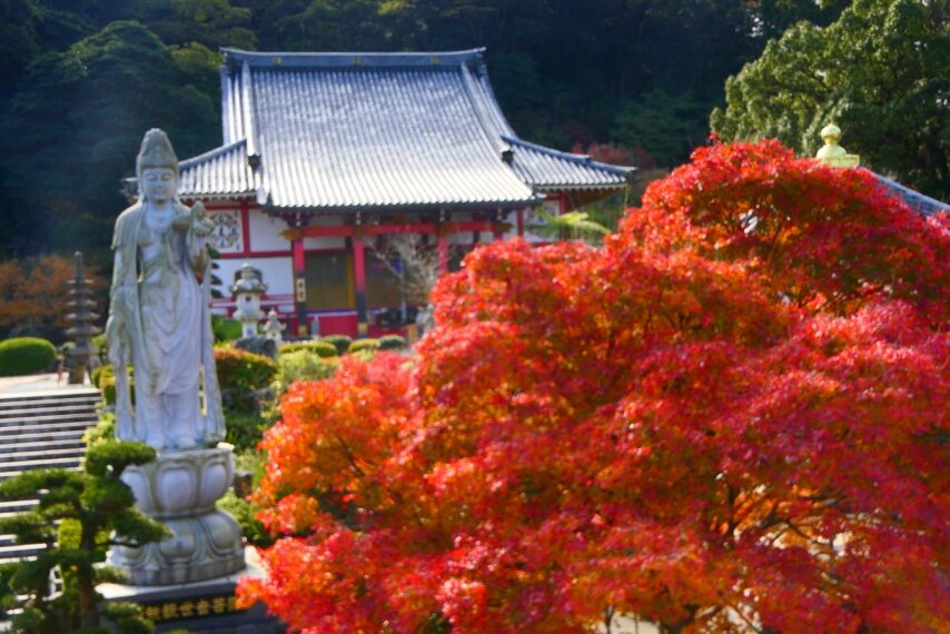 不動山青隆寺の紅葉-1