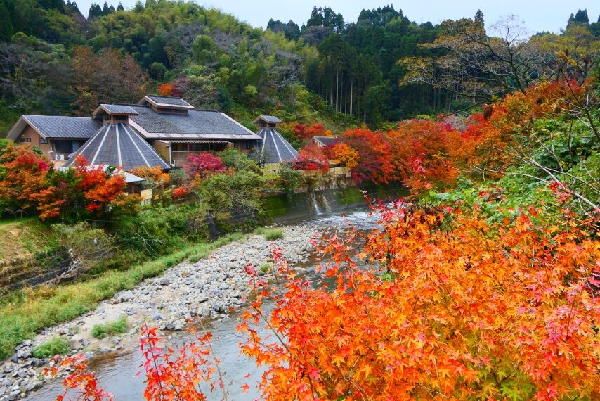 せせらぎの湯花水木の紅葉-5