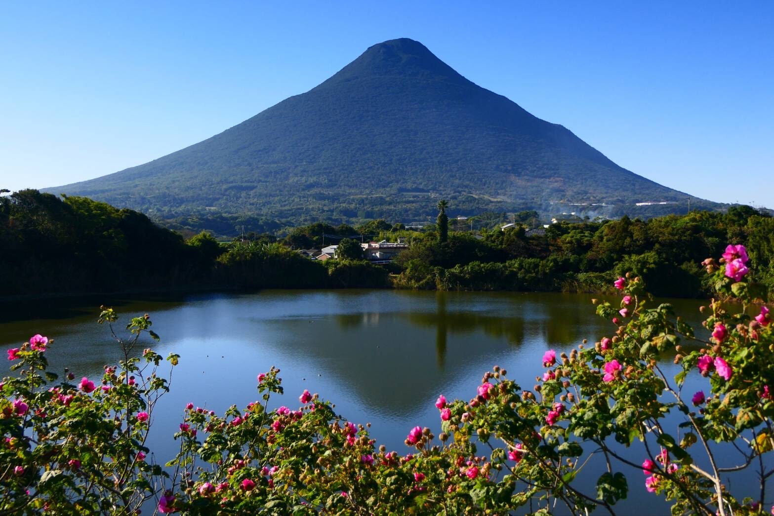 薩摩富士 開聞岳のある絶景　フヨウ