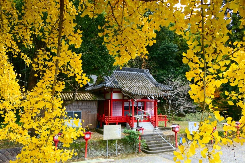 入来大宮神社の紅葉