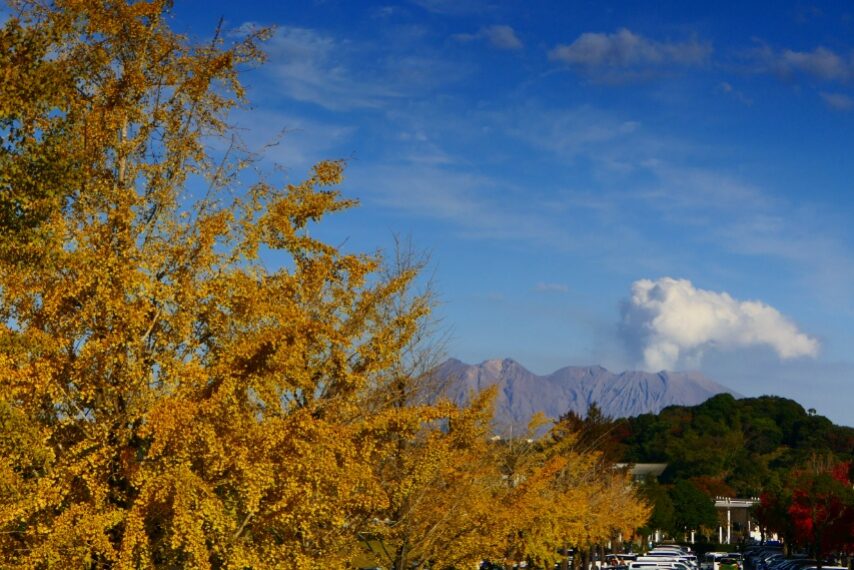 鹿児島ふれあいスポーツランドの紅葉・黄葉-2