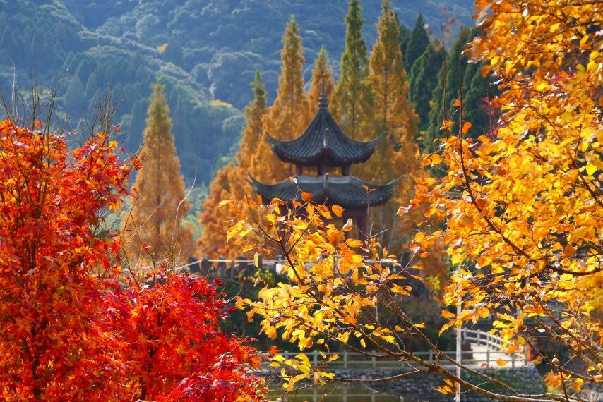 いちき串木野市冠岳山麓の名残りの紅葉-3