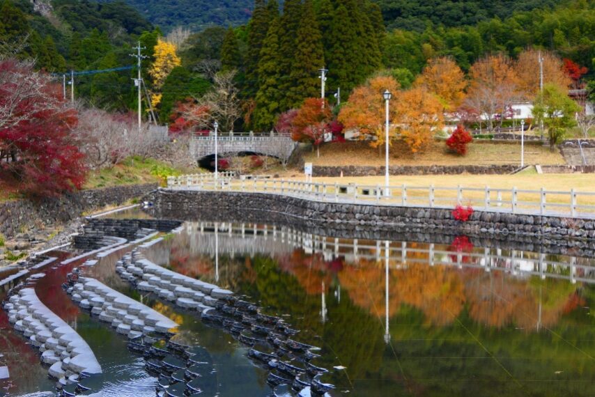 いちき串木野市冠岳山麓の名残りの紅葉-2