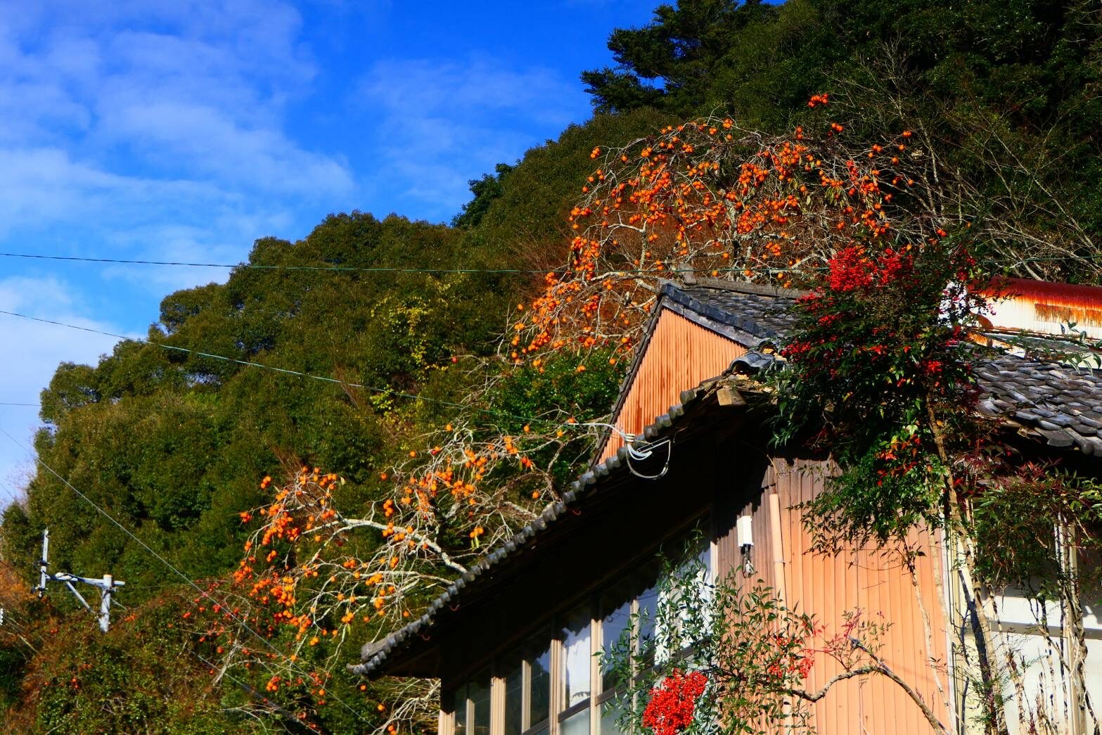 日本の原風景を想い出させる布計地区-1