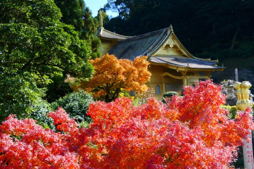 不動山青隆寺の紅葉-3