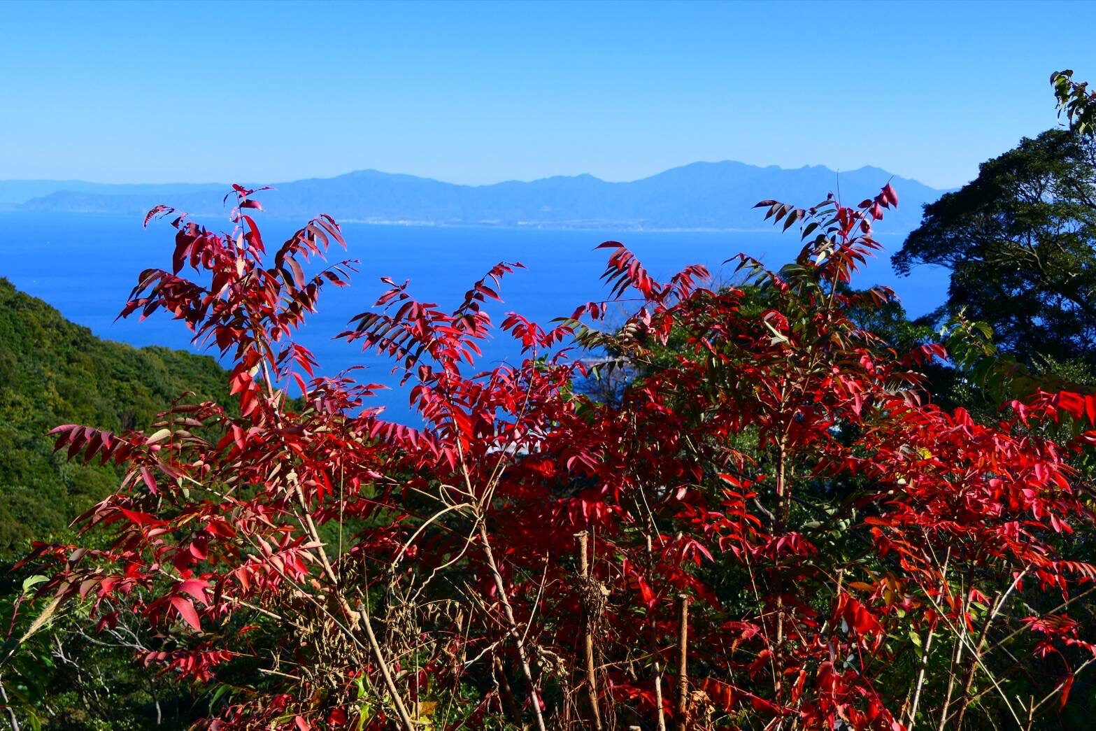 指宿スカイラインからの絶景-2