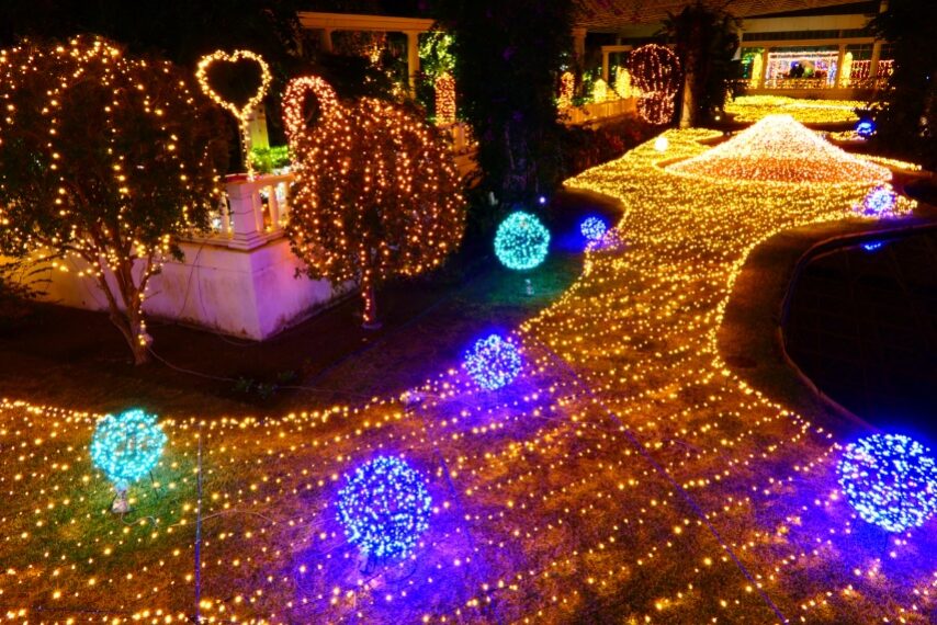 フラワーパークかごしまのイルミネーション-5