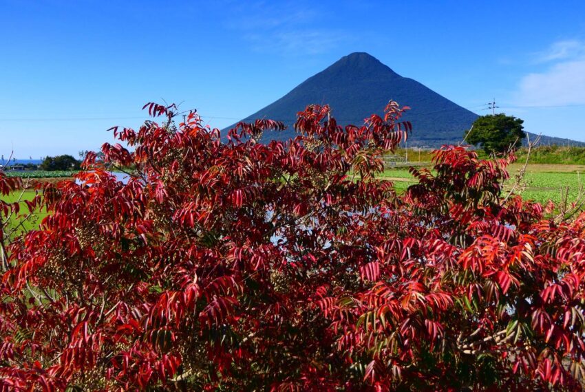薩摩富士 開聞岳のある絶景