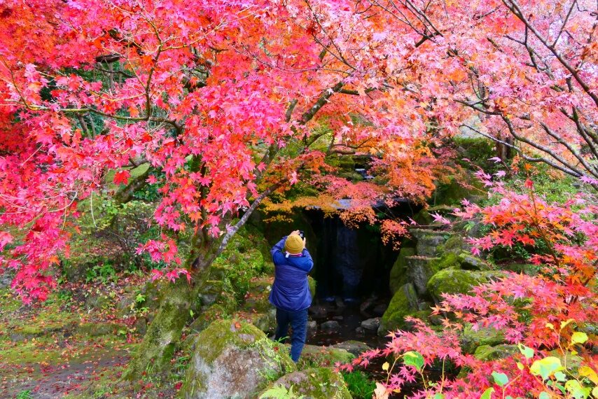 鹿児島ふれあいスポーツランドの紅葉・黄葉-3