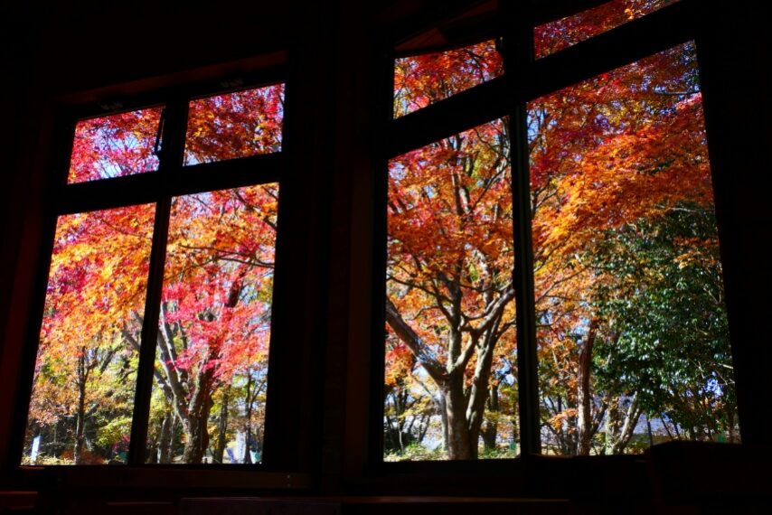 上野原縄文の森-3