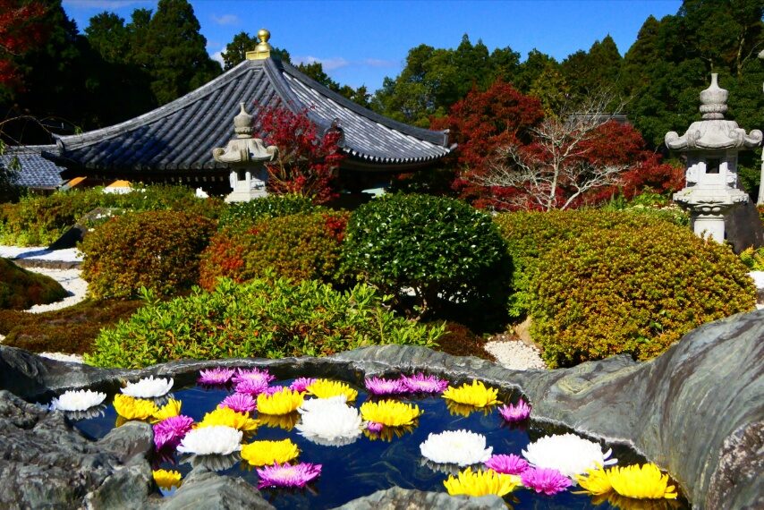 不動山青隆寺の紅葉-2