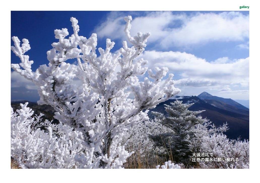 月刊　山學舎　【１月号】-4