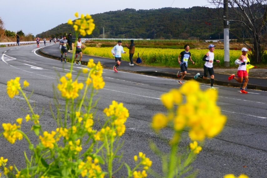 いぶすき菜の花マラソン大会-2