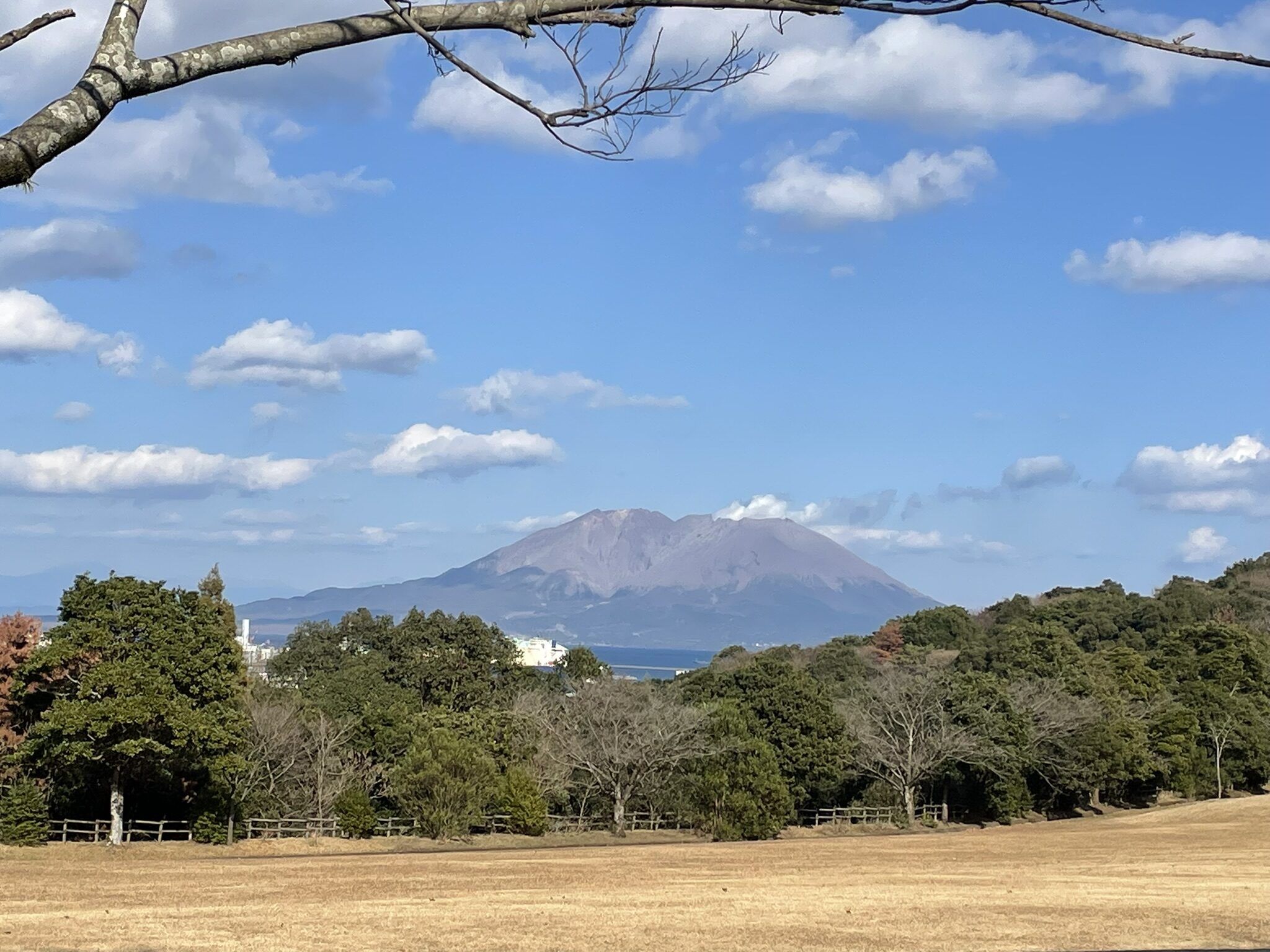 錦江湾公園散策-1