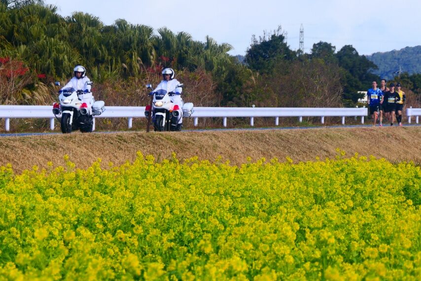 いぶすき菜の花マラソン大会-1