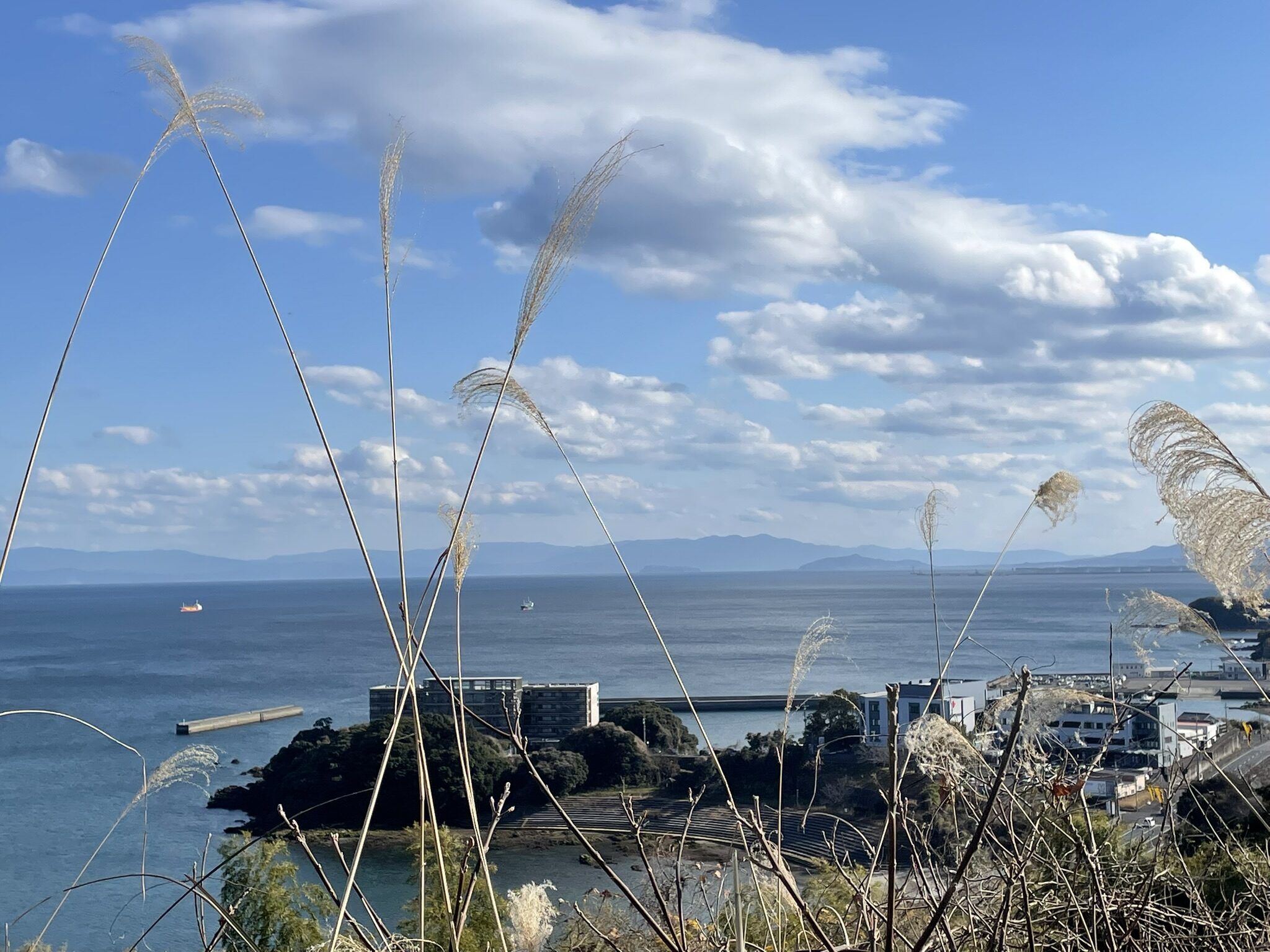 錦江湾公園散策-4