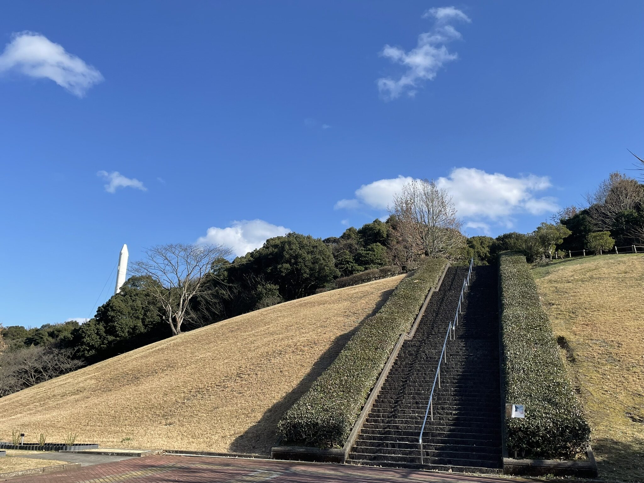 錦江湾公園散策-6