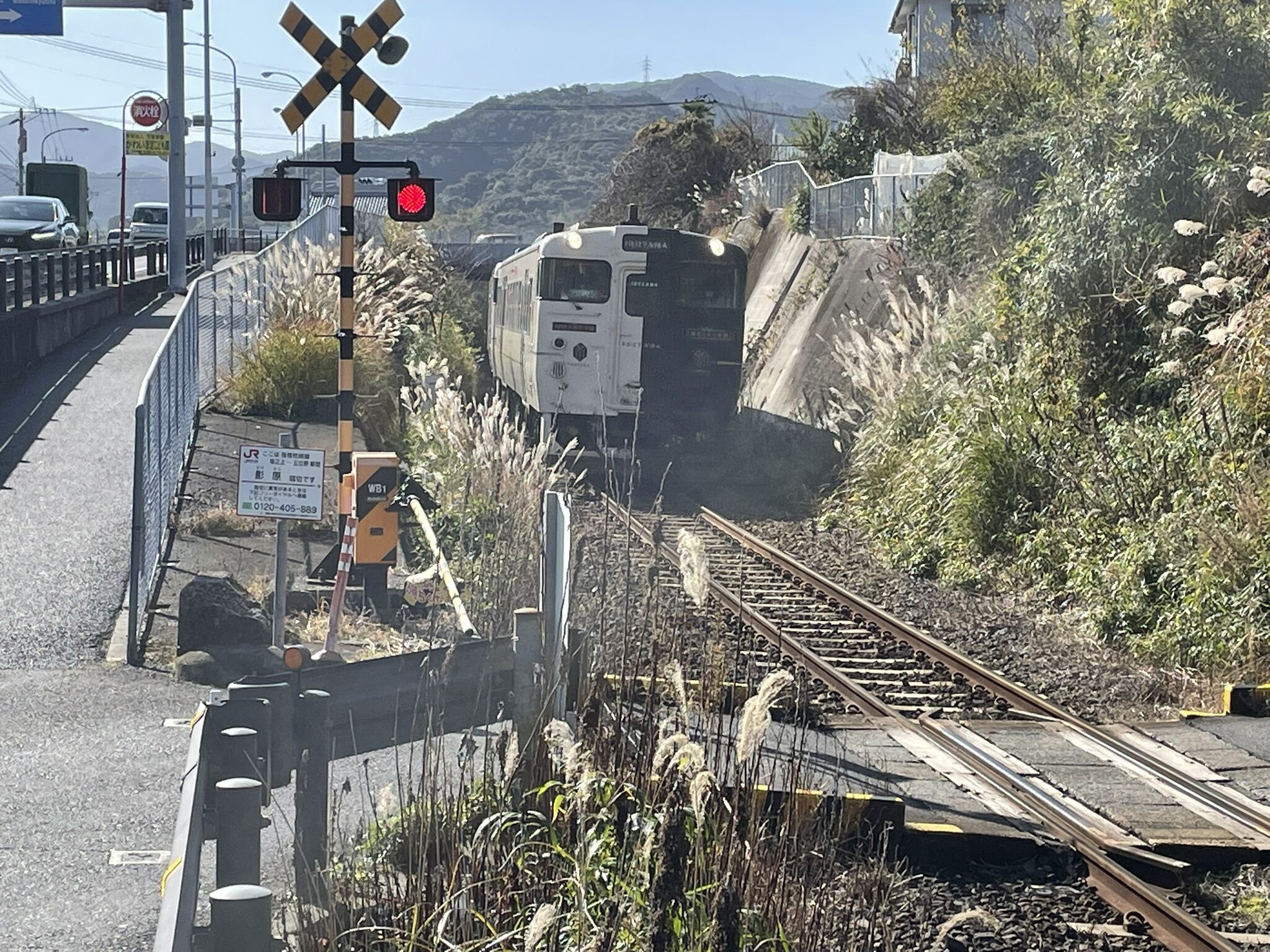 影原踏切とＪＲ「特急指宿のたまて箱」