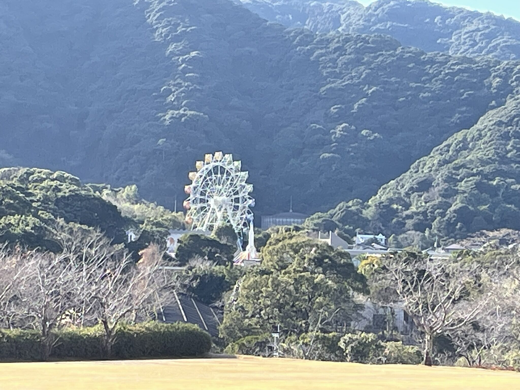 錦江湾公園散策-7