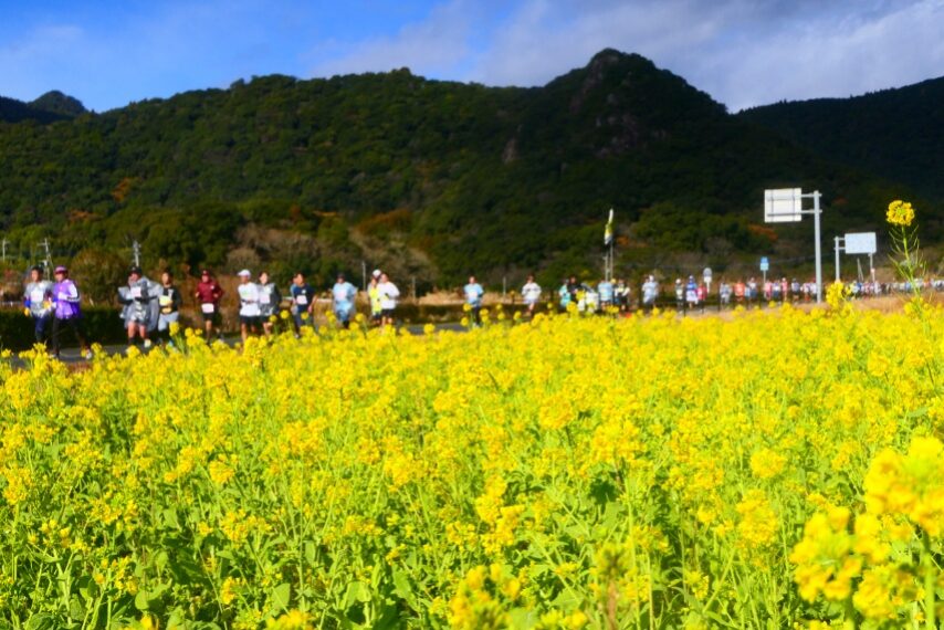 いぶすき菜の花マラソン大会-3