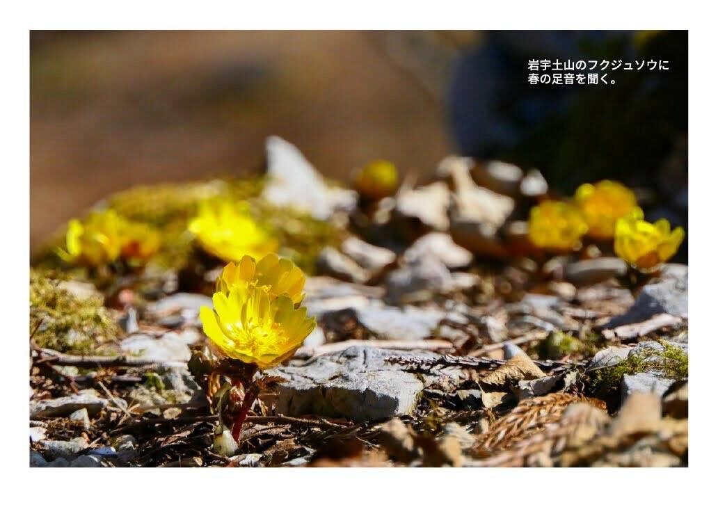 月刊　山學舎　【２月号】-4