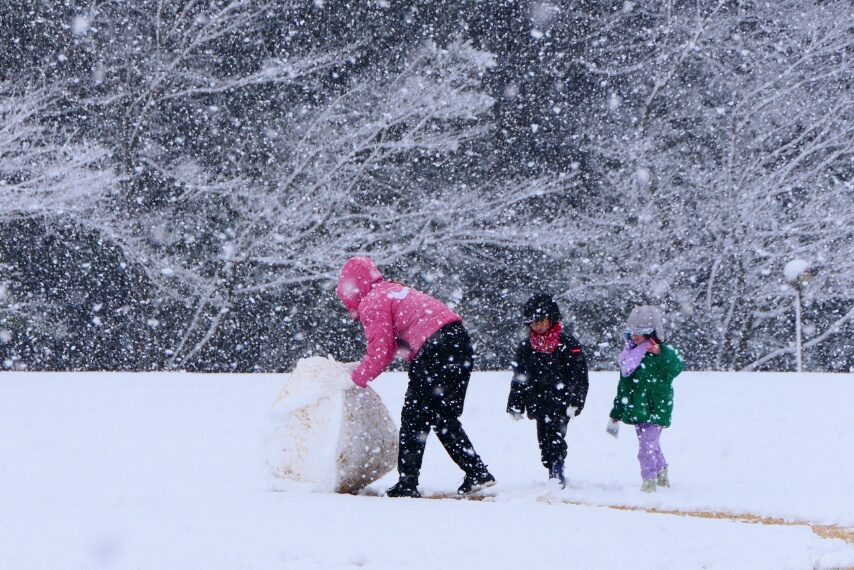 雪だるま造り